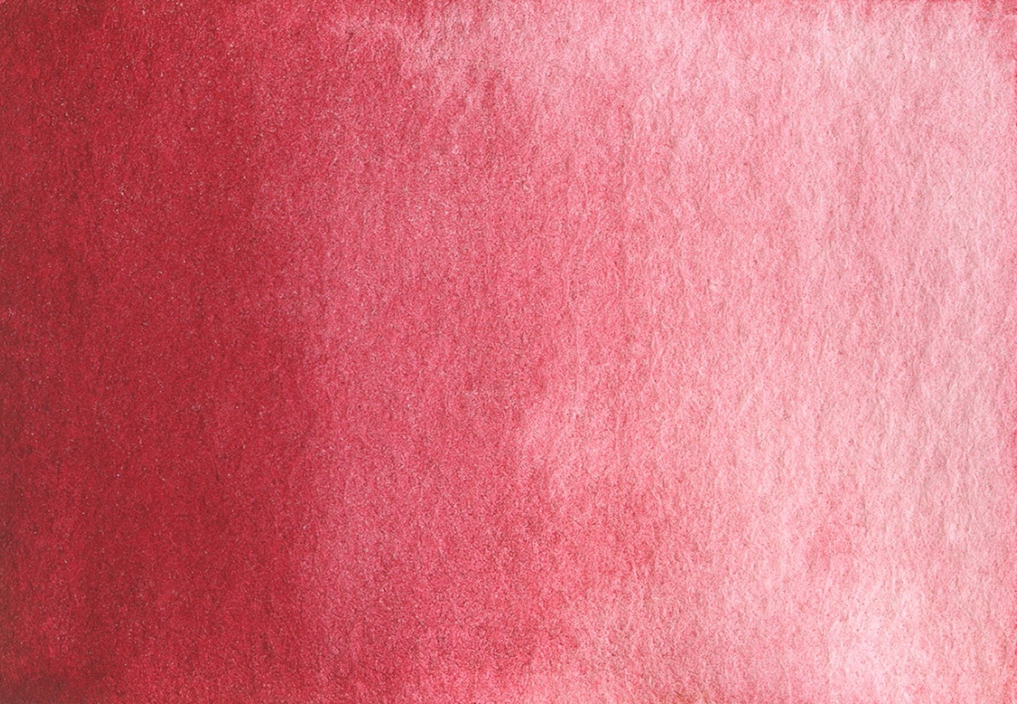AG 305 Ruby red