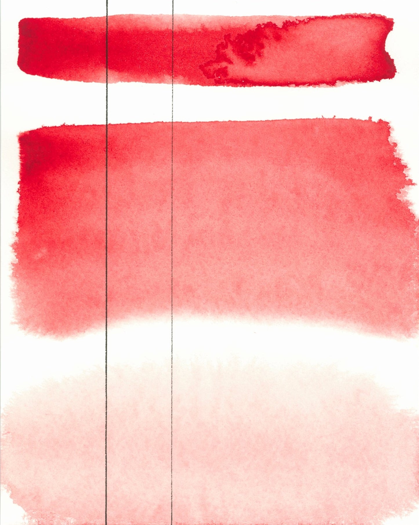 RS 373 Perylene scarlet