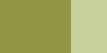 25 562 Olive green