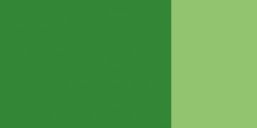 25 563 Sap green