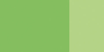 25 566 Permanent green light