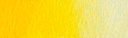 Färgsten – Höstgul poppel