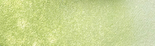 Färgsten – Strutbräken