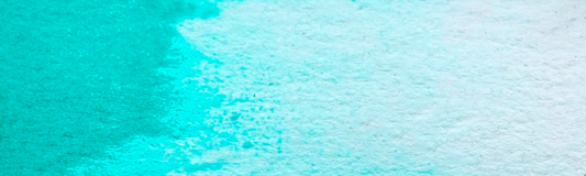 Färgsten – Salishhavet