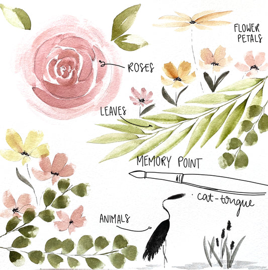 Memory Point – Kattunga