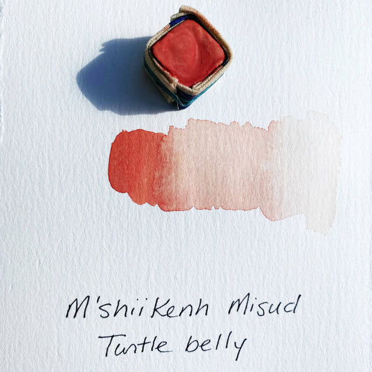 Färgsten - Sköldpaddsmage