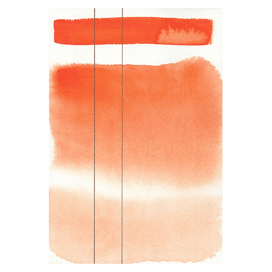 RS 353 Golden orange