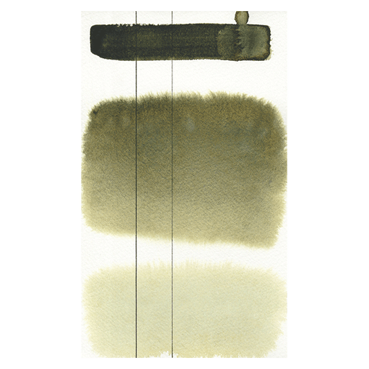 RS 346 Aquarius green