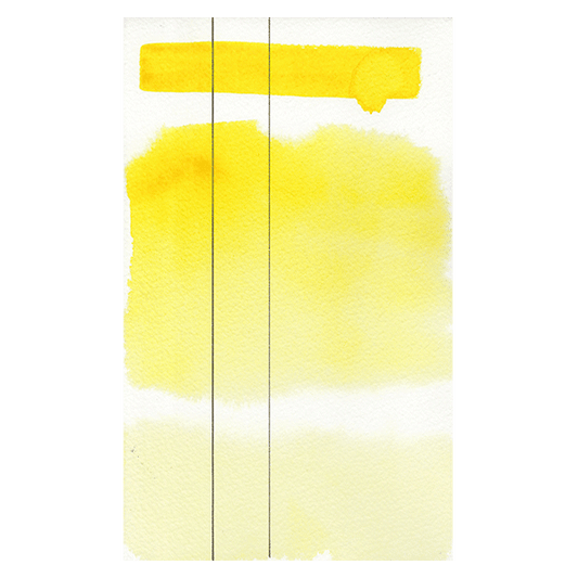 RS 304 Aquarius yellow