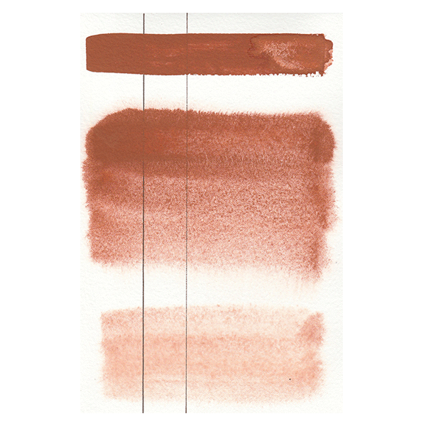 RS 251 Aquarius brown