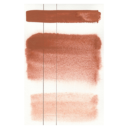 RS 251 Aquarius brown