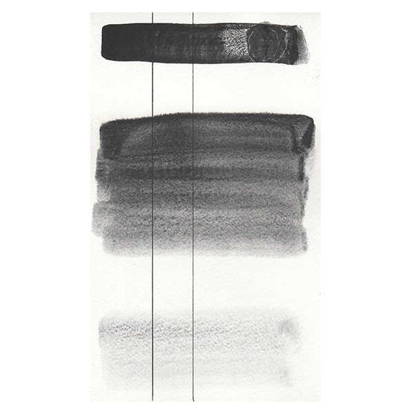 RS 247 Aquarius black