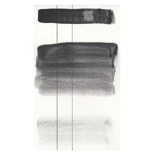 RS 247 Aquarius black