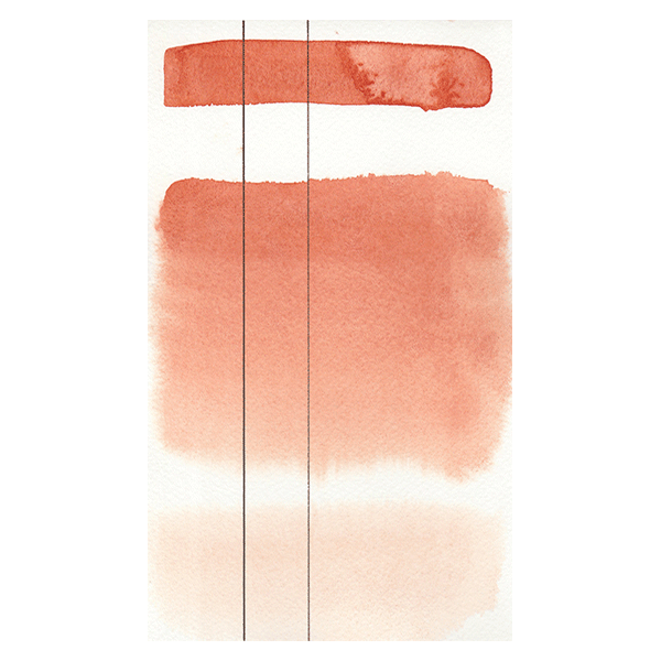 RS 237 Mummy transparent red