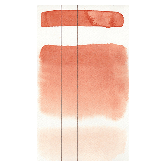 RS 237 Mummy transparent red