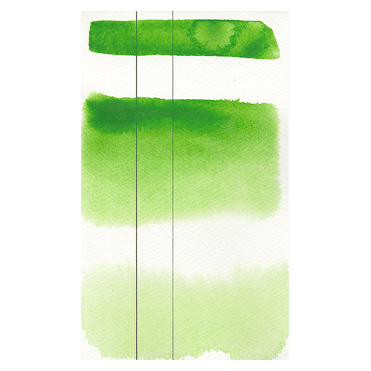 RS 231 Permanent green light