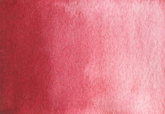 AG 305 Ruby red