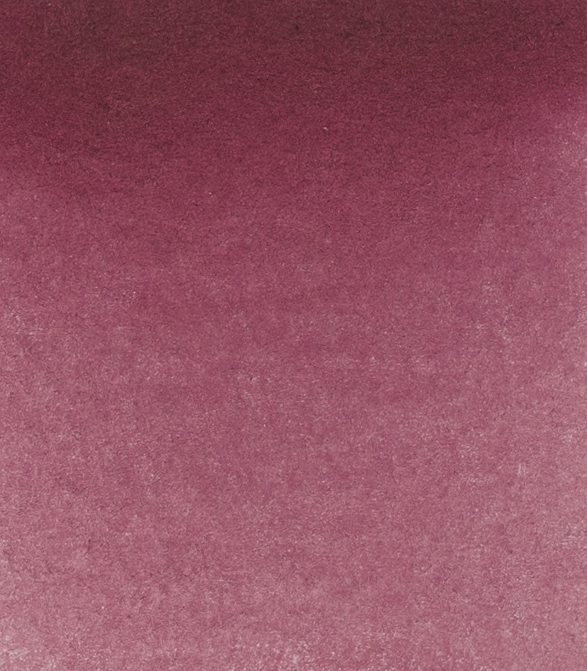 14 371 Perylene violet