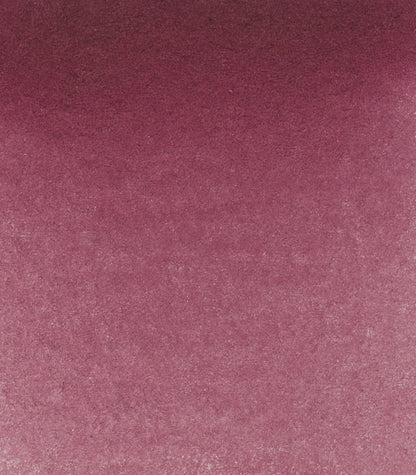 14 371 Perylene violet