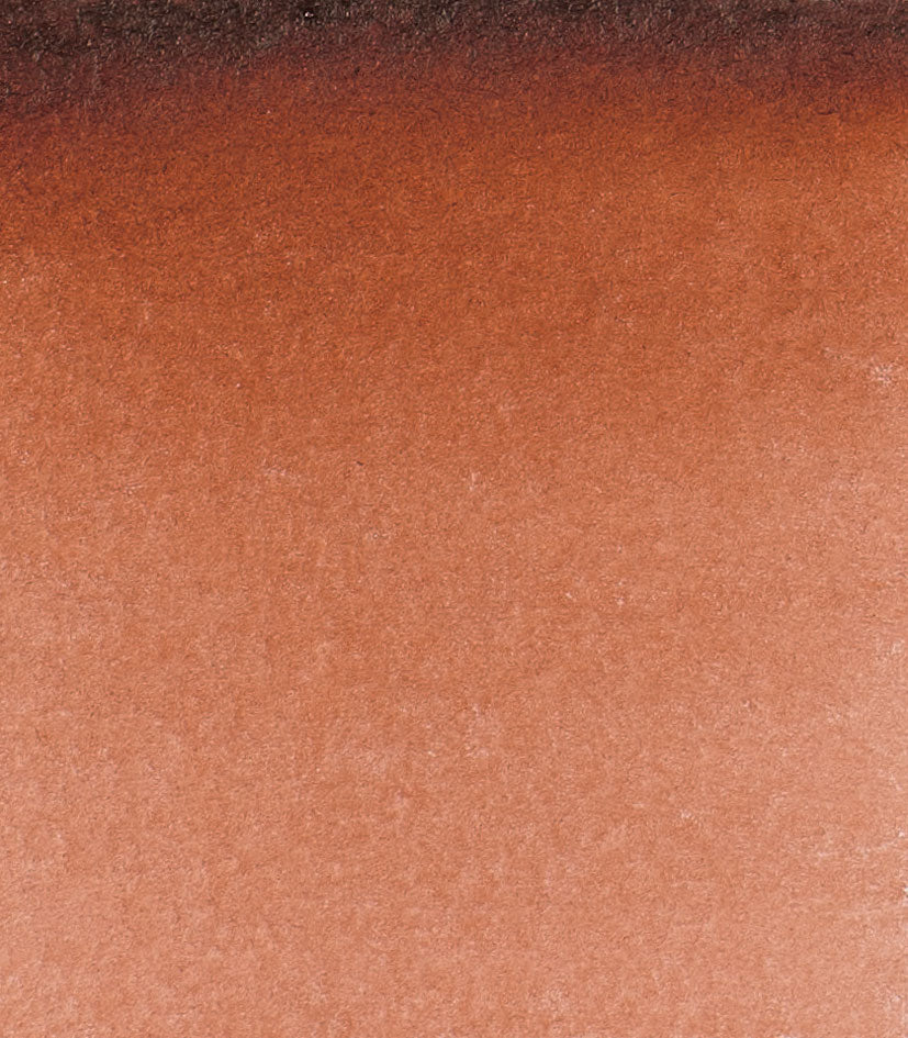 14 648 Transparent brown