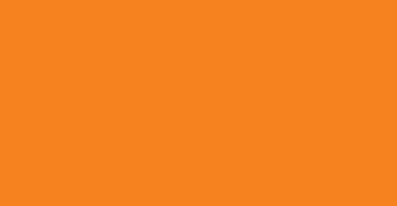 L&B 476 Japanese orange
