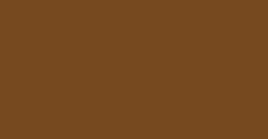 L&B 478 Raw umber