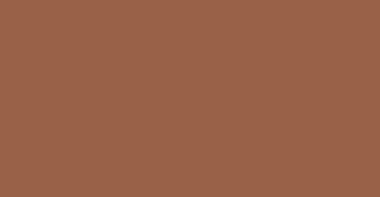 L&B 482 Raw sienna