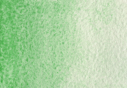AG 237 Victoria green