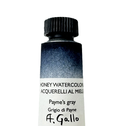 AG 254 Payne's gray