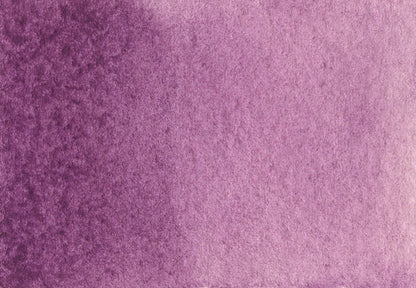 AG 313 Lilac