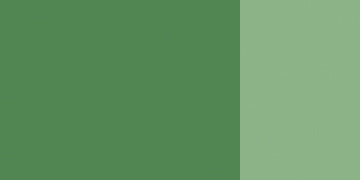 25 558 Chromium oxide green