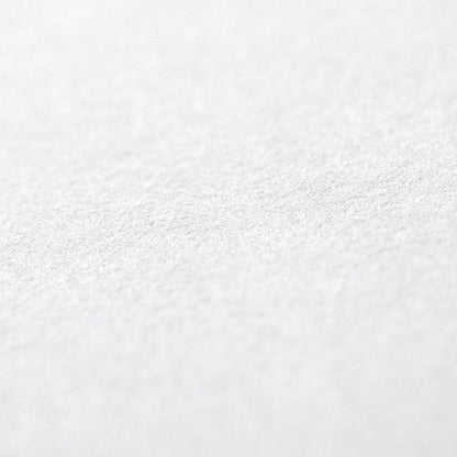 Kozo washipapper vit