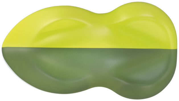 Aero Color Professional