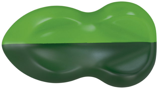Aero Color Professional